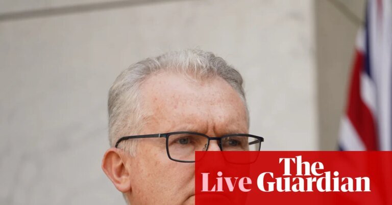 Australia news live: Tony Burke defends decision not to call royal commission into Bondi attack; Australia records highest number of road deaths since 2010 Livezstream.com