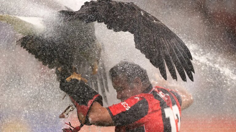 Famous OGC Nice eagle mascot and trainer blasted by sprinkler
Livezstream.com