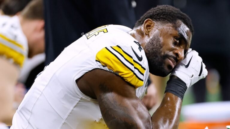 Steelers' Metcalf banned for rest of NFL regular season after altercation with Lions fan
Livezstream.com