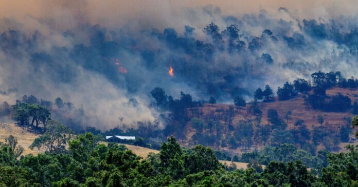 Australia Wildfires Burn Nearly 900,000 Acres Livezstream.com